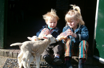 Twee kindjes geven de fles aan twee lammetjes 