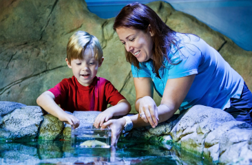 SEA LIFE Scheveningen SEA LIFE Scheveningen