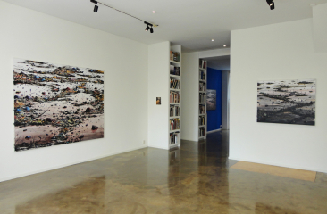Livingstone Gallery