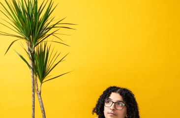  Persoon met krullend haar en bril kijkt omhoog naar een grote kamerplant, tegen een felgele achtergrond.