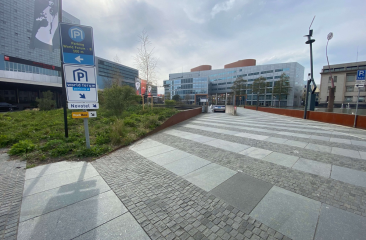 Straße mit Schildern für das Parken am World Forum