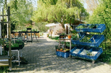 Entree van een groene tuin met kratten groenten