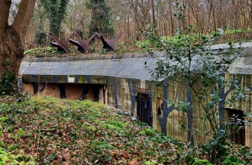 Een betonnen bunker omringd door bomen en struiken.