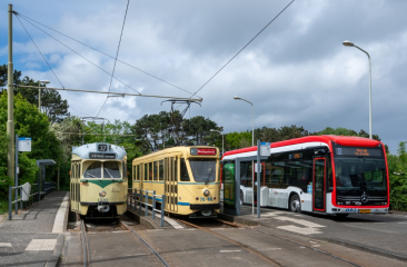 Twee trams en een bus bij een halte in Den Haag.