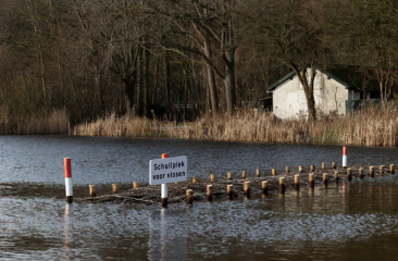 Een houten steiger in een watervlakte met een bord 'Schuilplek voor vissen'.