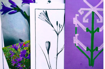 Een collage van bloemenillustraties en foto's.