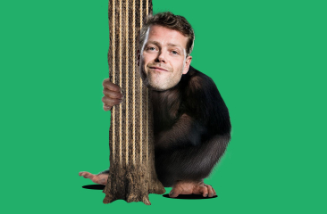 Gemonteerd beeld van een aap met het gezicht van een man, omarmt een stam tegen een groene achtergrond