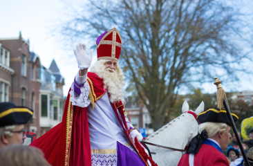Sinterklaas op zijn witte paard in optocht