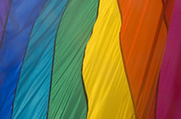 Regenboog vlag Regenboog vlag