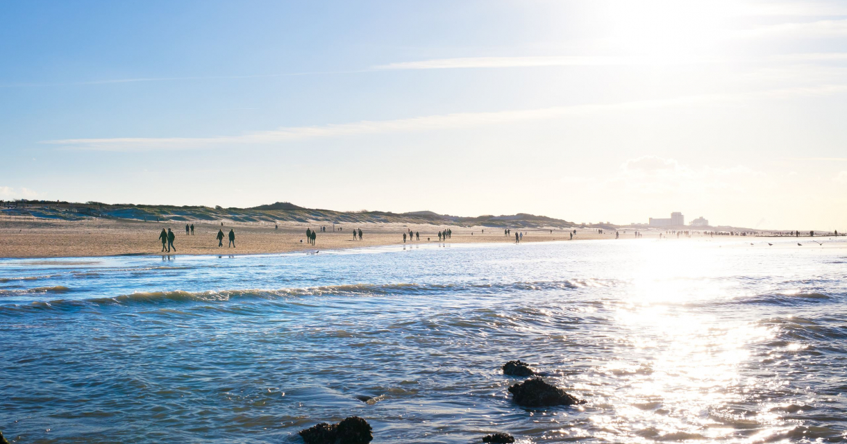 HEt zuiderstrand vanaf de zee HEt zuiderstrand vanaf de zee