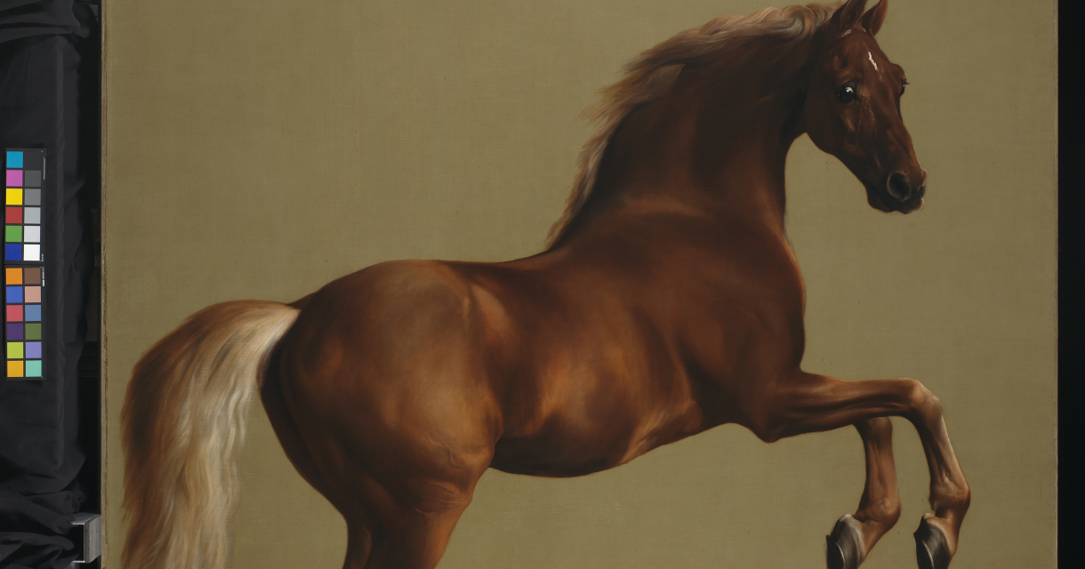George Stubbs – De man, het paard, de obsessie