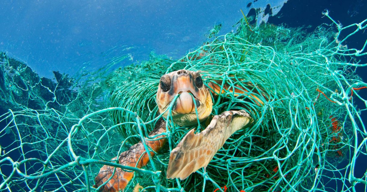 Planet or Plastic