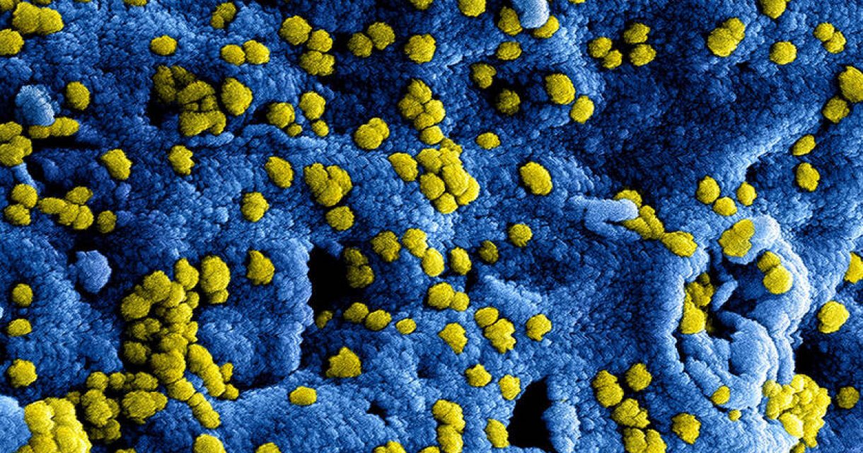 Informatie over het coronavirus in Den Haag Informatie over het coronavirus in Den Haag