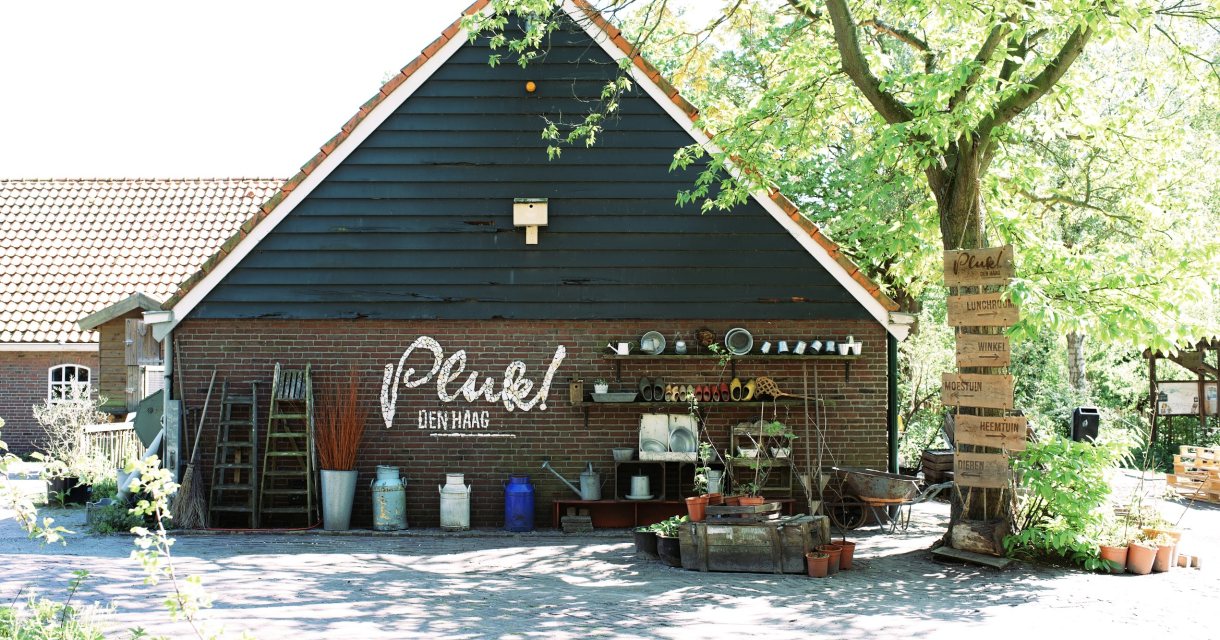 Pluk Den Haag Denhaag Com