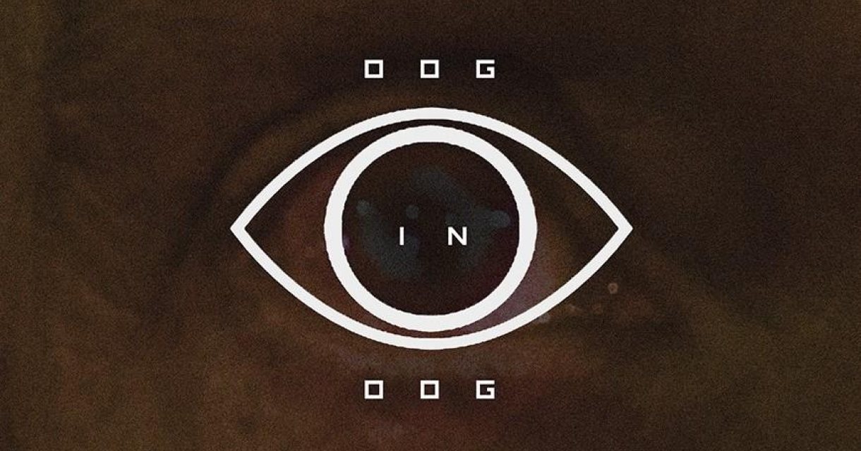 OOG IN OOG Spinvis OOG IN OOG Spinvis