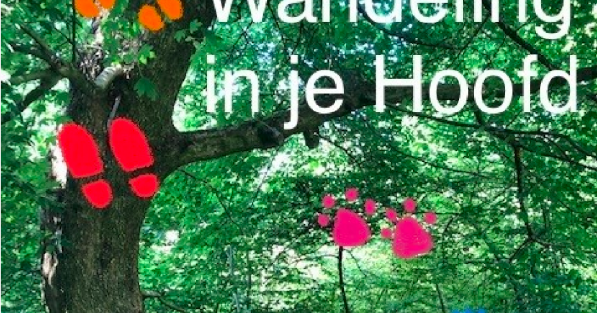 Ellen Knops - Wandeling in je hoofd (0+) Ellen Knops - Wandeling in je hoofd (0+)