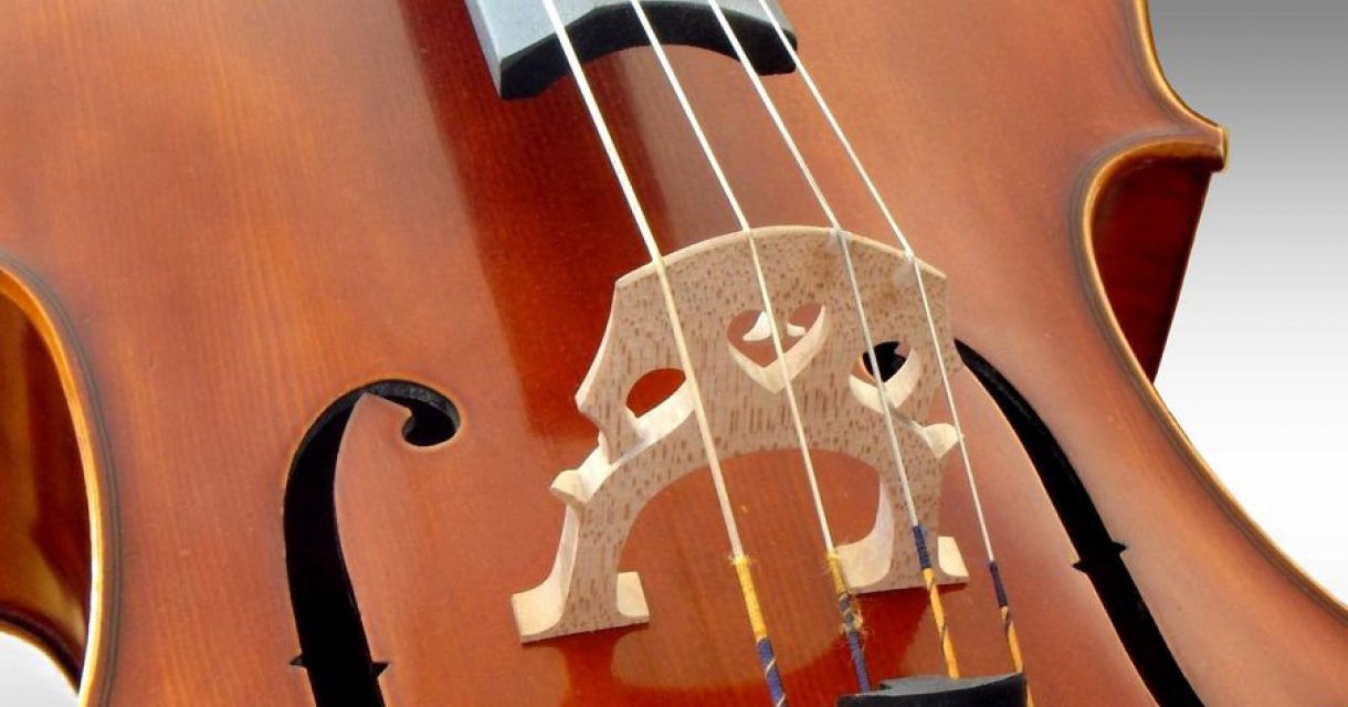 Laureaat Concours Cello Biënnale 2020 - Kamermuziekconcert Laureaat Concours Cello Biënnale 2020 - Kamermuziekconcert