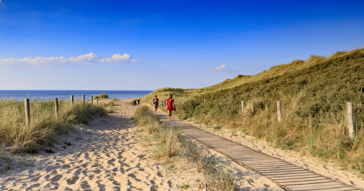 Haagse duinen