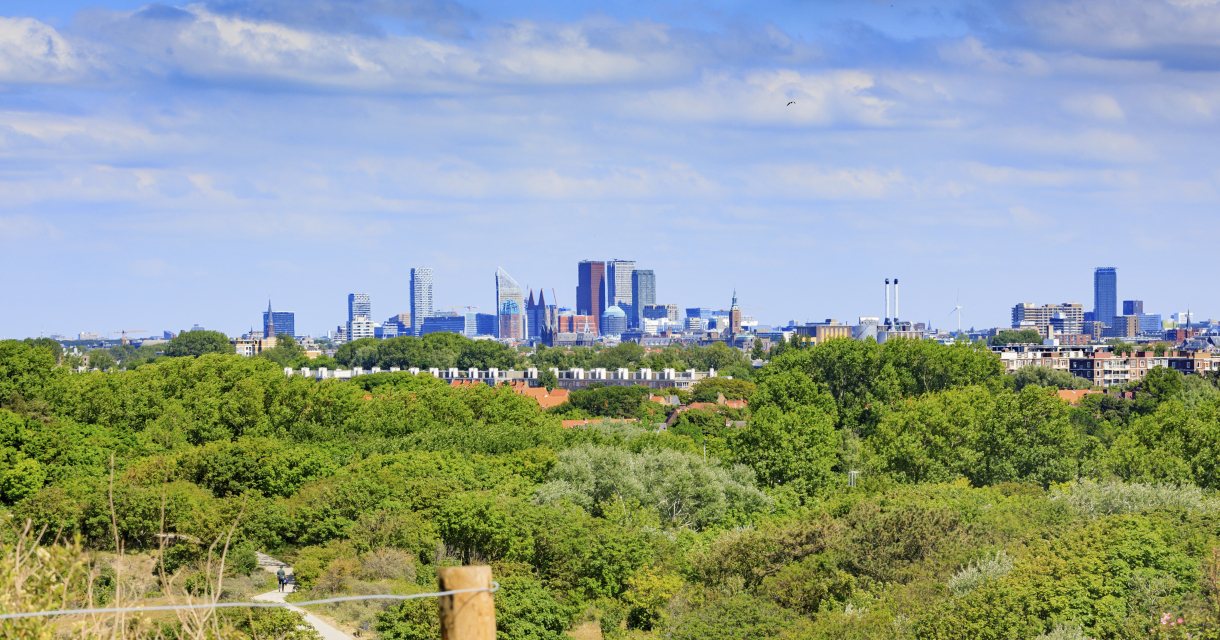 Den Haag vanaf de duinen Den Haag vanaf de duinen