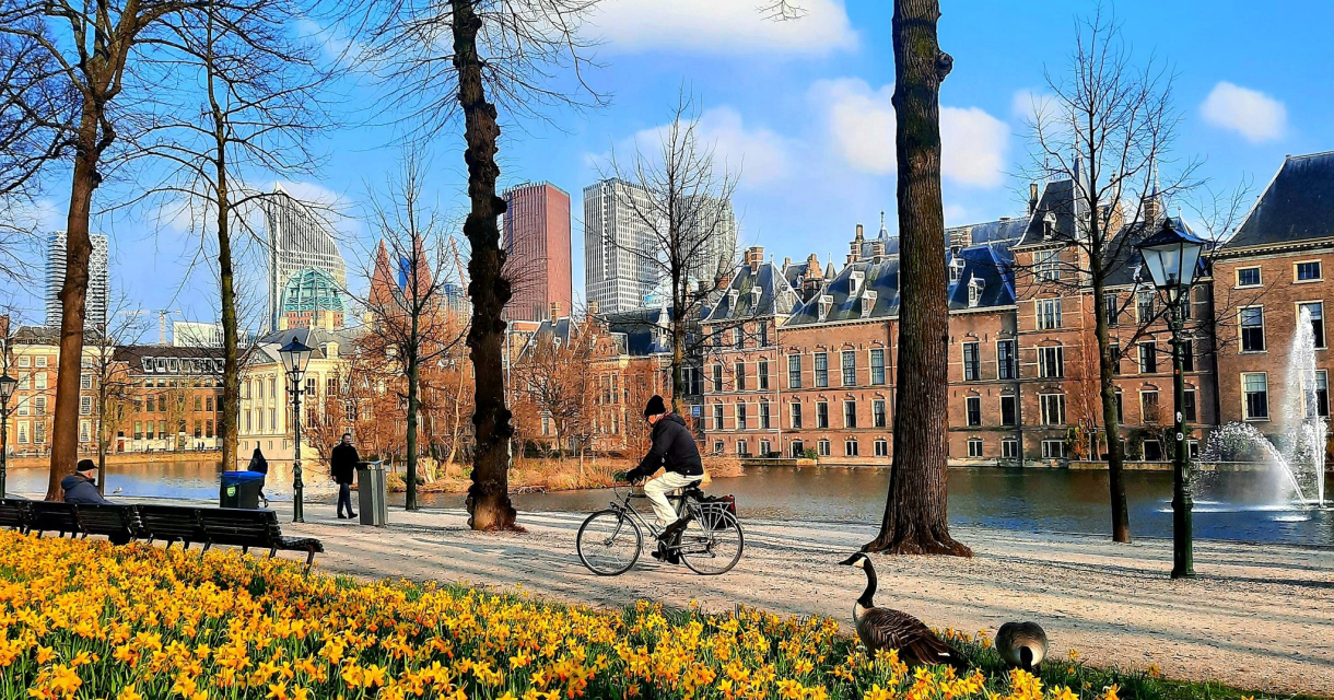 Lente in Den Haag Hofvijver Lange Vijverberg Narcissen