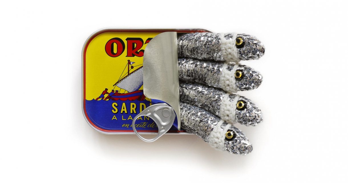 kate jenkins quarantinned sardines kate jenkins quarantinned sardines