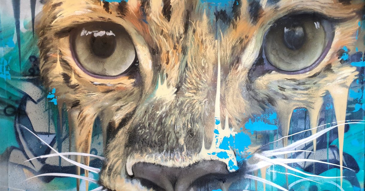 Kunstwerk Zesta The Hague Street Art Kunstwerk Zesta The Hague Street Art