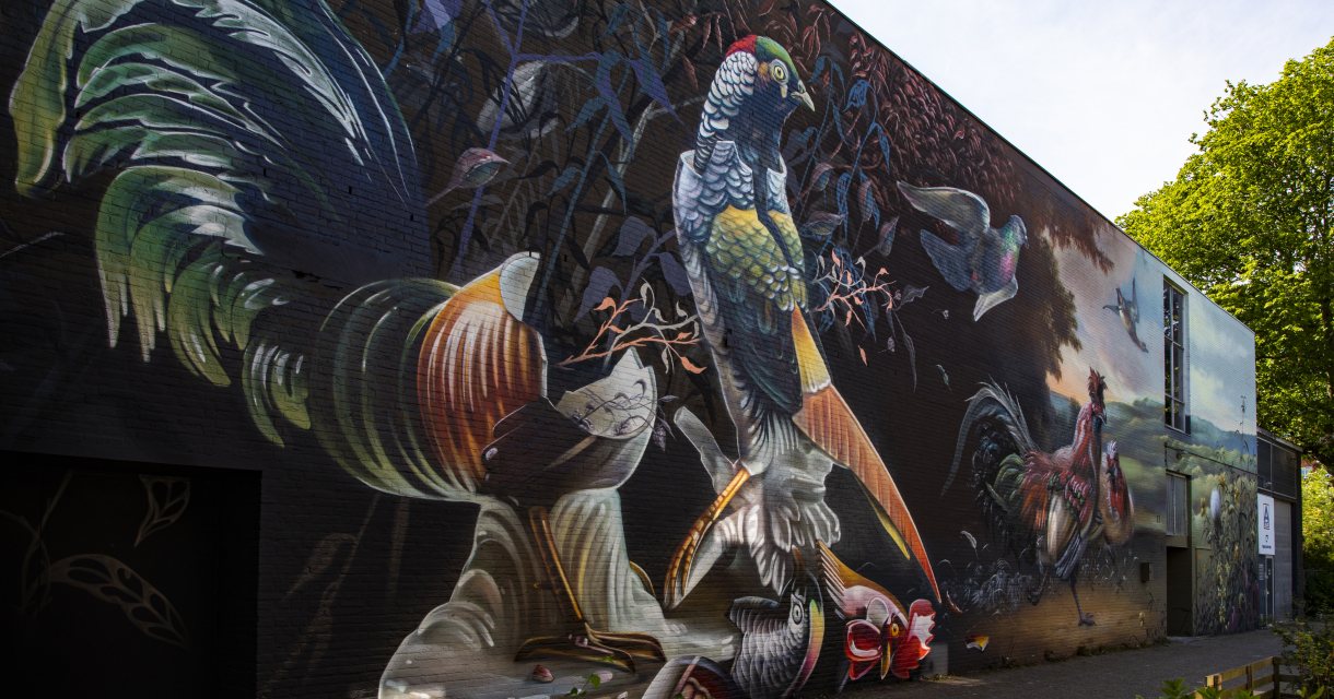 Mauritshuis mural kippen en eenden van Melchior door Street Art The Hague Mauritshuis mural kippen en eenden van Melchior door Street Art The Hague