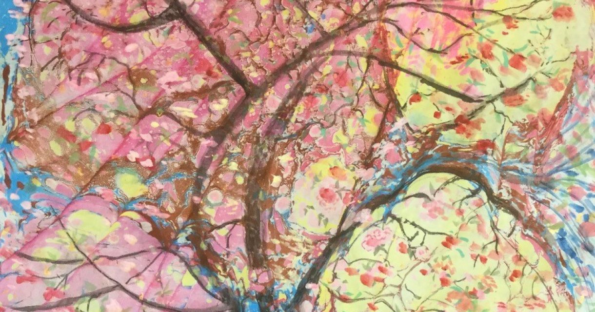 Natuur en Papier 自然与纸 Natuur en Papier 自然与纸