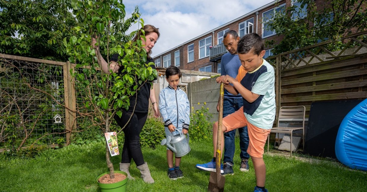 Gratis bomen Gratis bomen