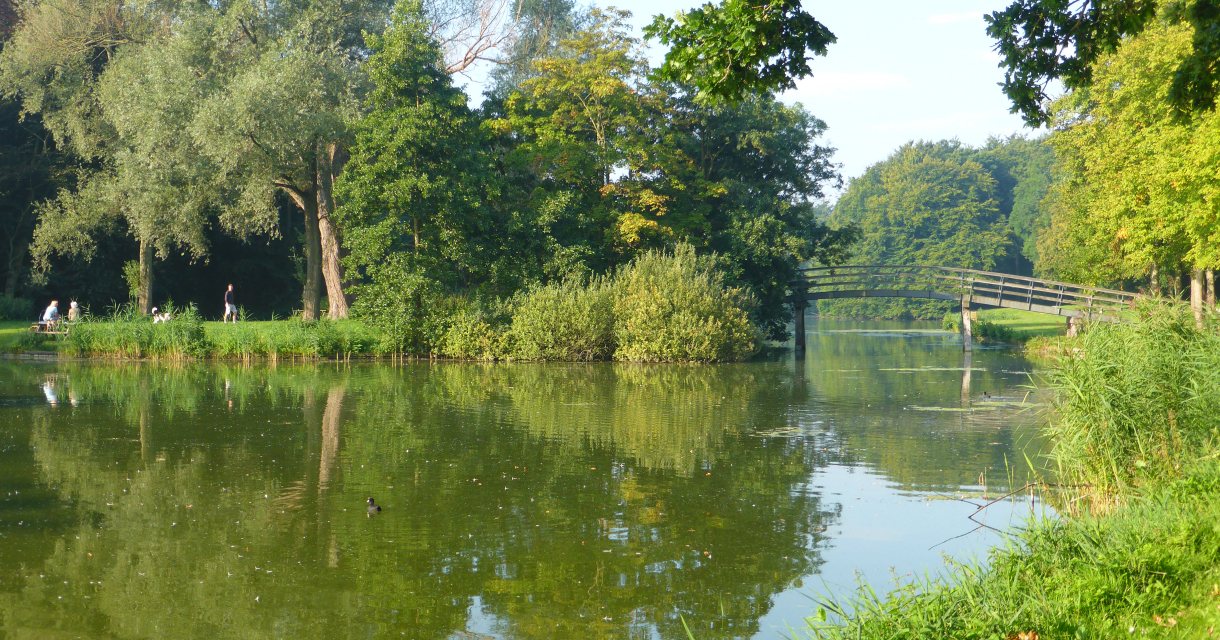 Haagse Bos foto: Rinke de Fouw Haagse Bos foto: Rinke de Fouw