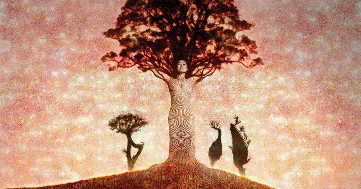 Lavinia Meijer & Amsterdams Andalusische Orkest - Immortal Trees Lavinia Meijer & Amsterdams Andalusische Orkest - Immortal Trees