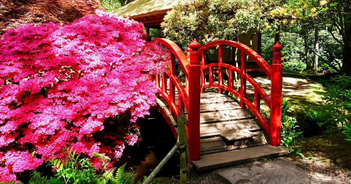 Japanse Tuin Japanse Tuin
