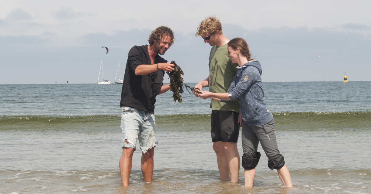 Er is geen betere plek om zeewier te ontdekken dan het strand, samen met Toine de Zeewierman Er is geen betere plek om zeewier te ontdekken dan het strand, samen met Toine de Zeewierman