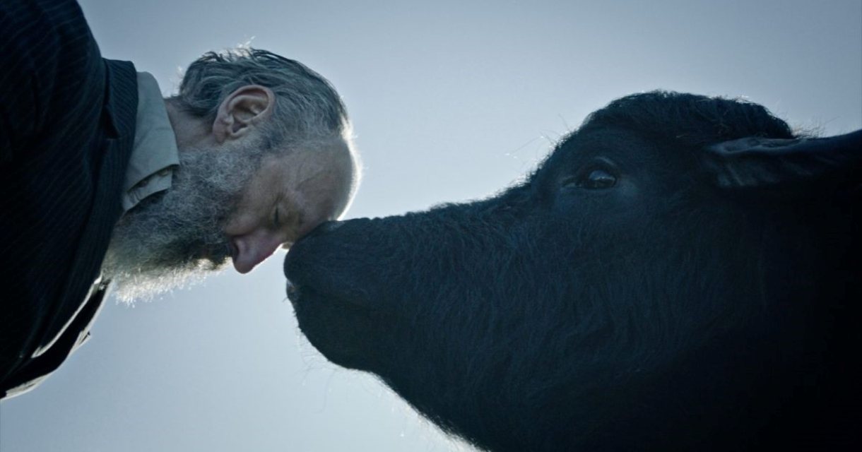 Head to Head Herwig Illegems Head to Head Herwig Illegems