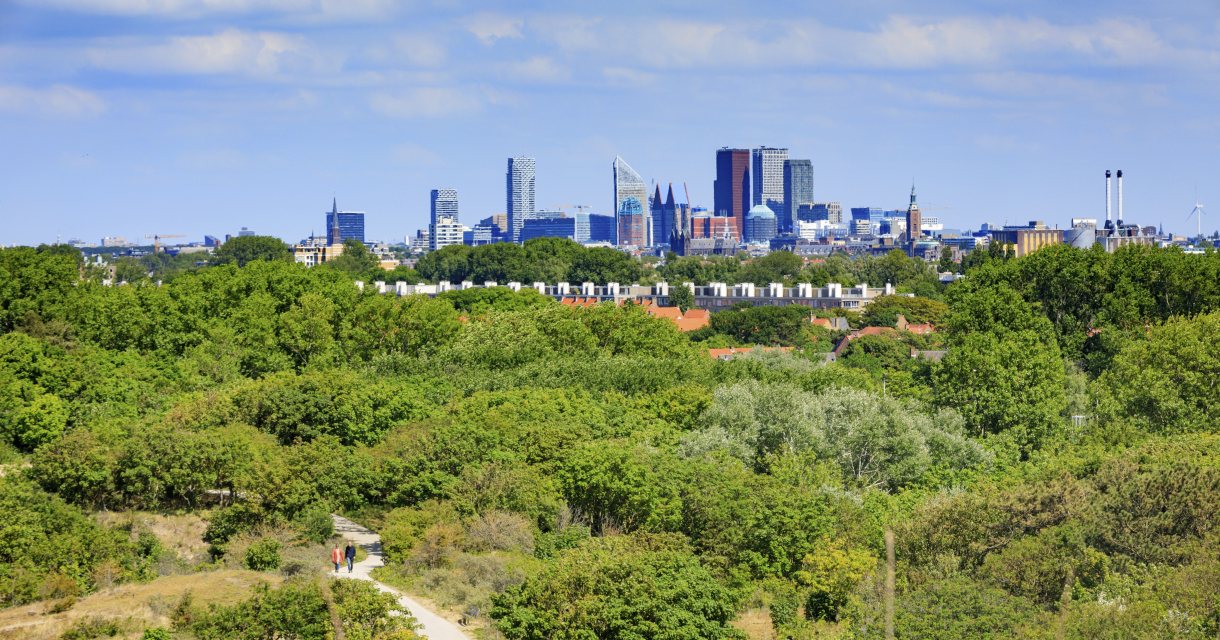 Hollandse duinen met zicht op de Skyline. Hollandse duinen met zicht op de Skyline.