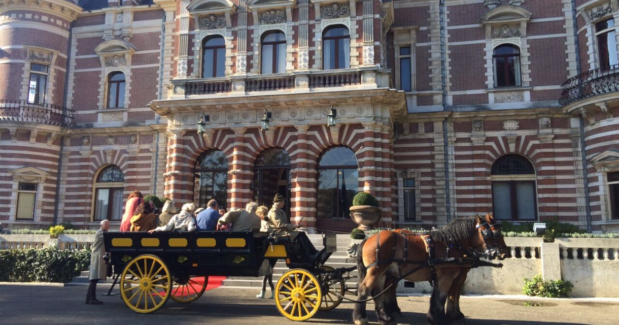 Stoeterij in 't Groene Hout