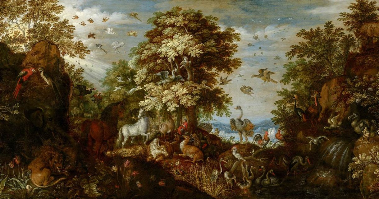 De tentoonstelling Roelant Savery's Wonderlijke Wereld is te zien van 8 februari t/m 20 mei in het Mauritshuis in Den Haag. De tentoonstelling Roelant Savery's Wonderlijke Wereld is te zien van 8 februari t/m 20 mei in het Mauritshuis in Den Haag.