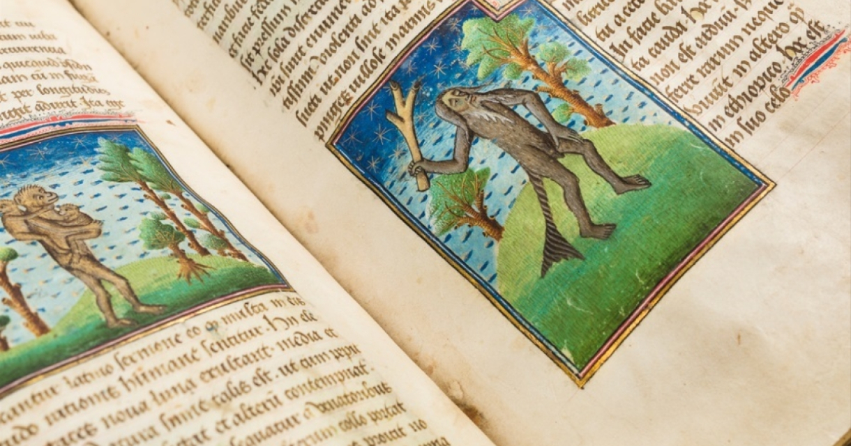 Huis van het Boek Huis van het Boek