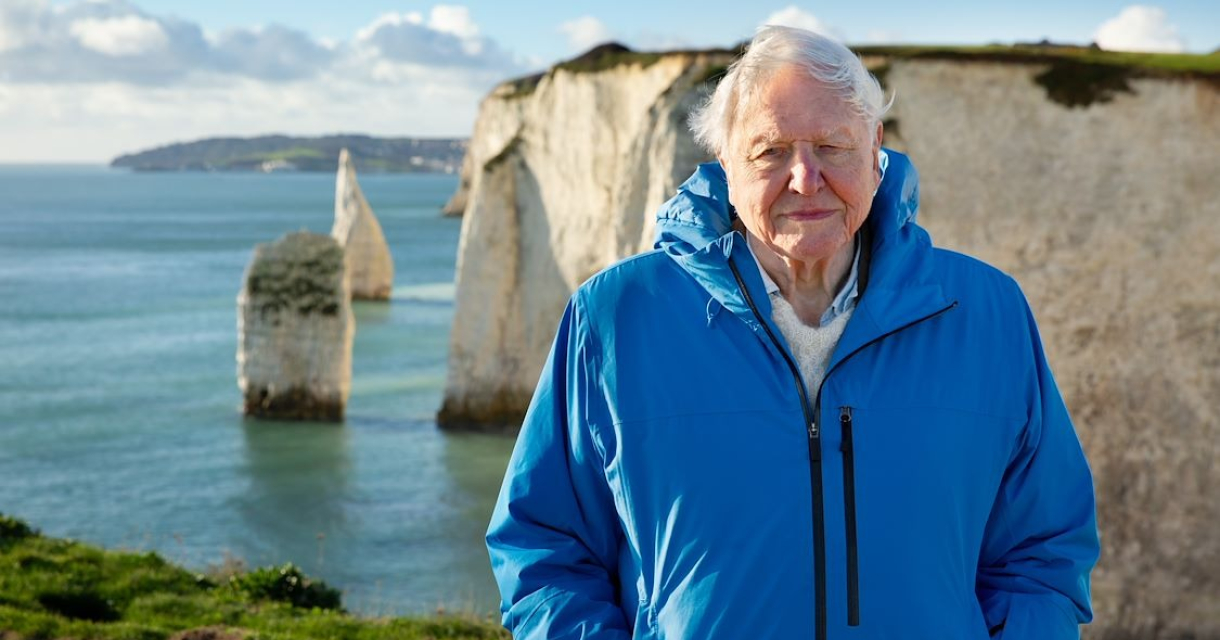 OCEAN with David Attenborough OCEAN with David Attenborough