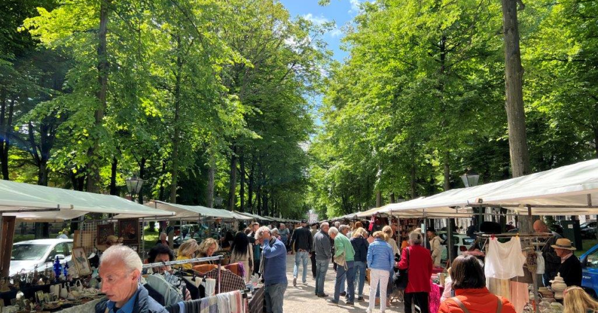 Mensen struinen over de markt tussen hoge, groene bomen in de zon Mensen struinen over de markt tussen hoge, groene bomen in de zon