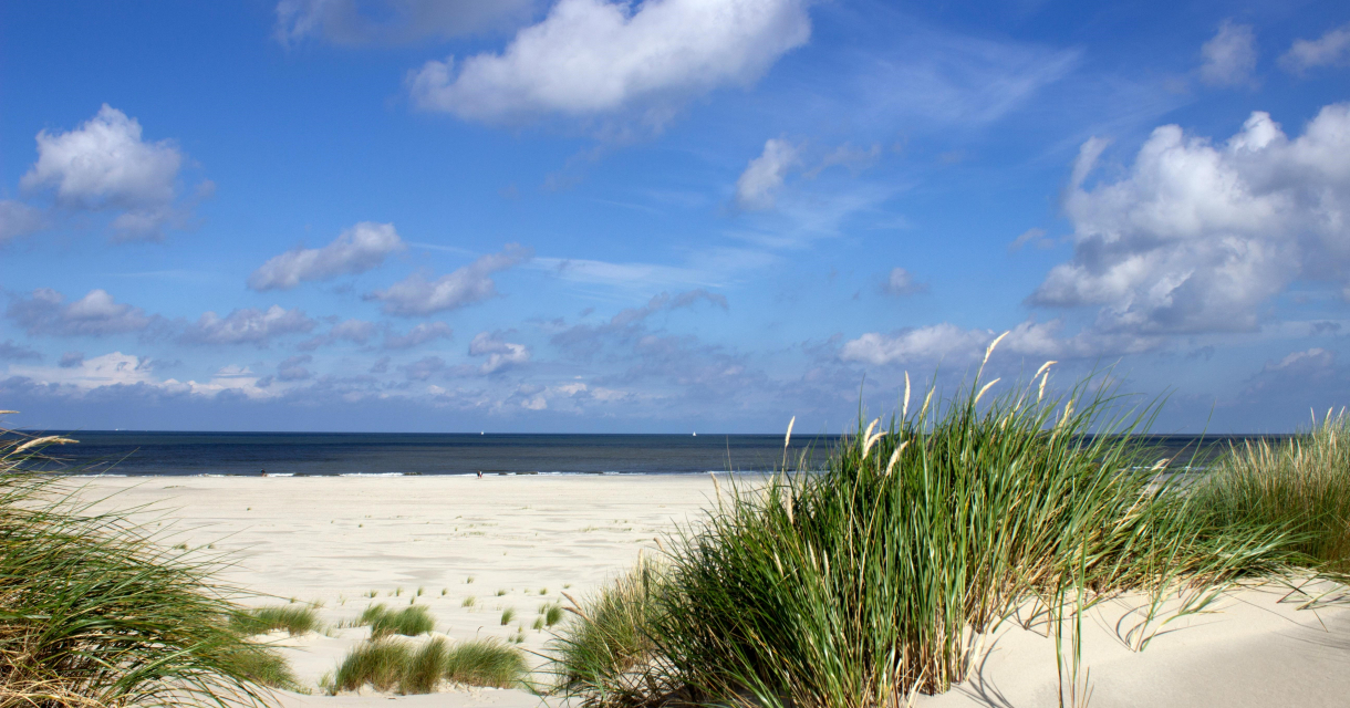Zuiderstrand Zuiderstrand