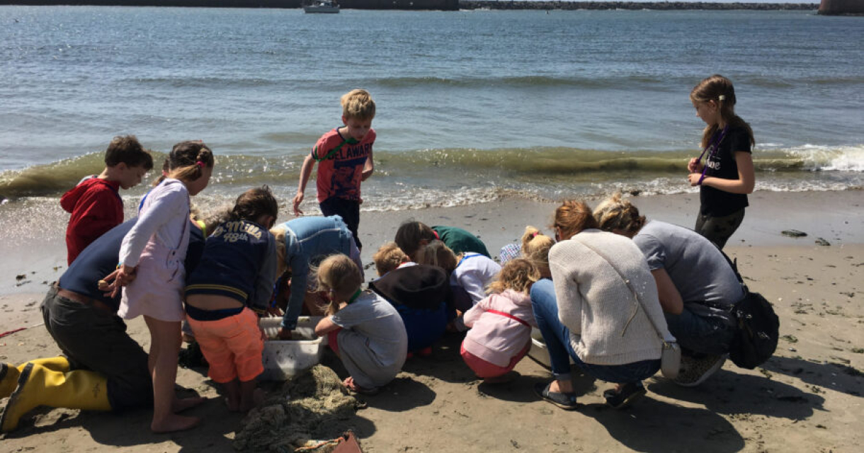 Kinderen en volwassenen onderzoeken iets op het strand. Kinderen en volwassenen onderzoeken iets op het strand.