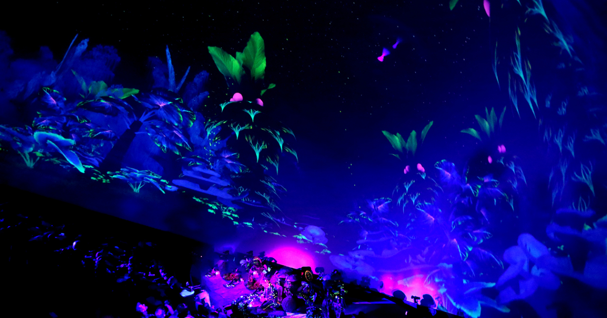 Publiek kijkt naar magische lichtshow in jungle Publiek kijkt naar magische lichtshow in jungle
