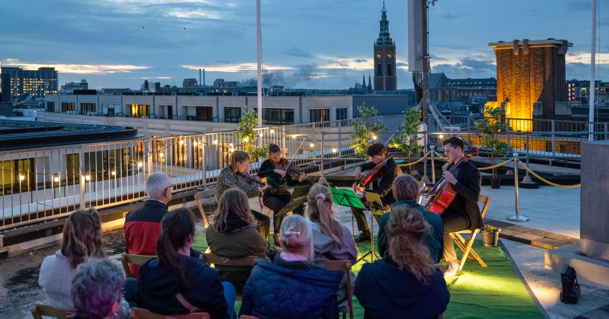 Uit je dak Festival Sfeerimpressie van live optreden op dak in mooi licht Foto: Sander Foederer