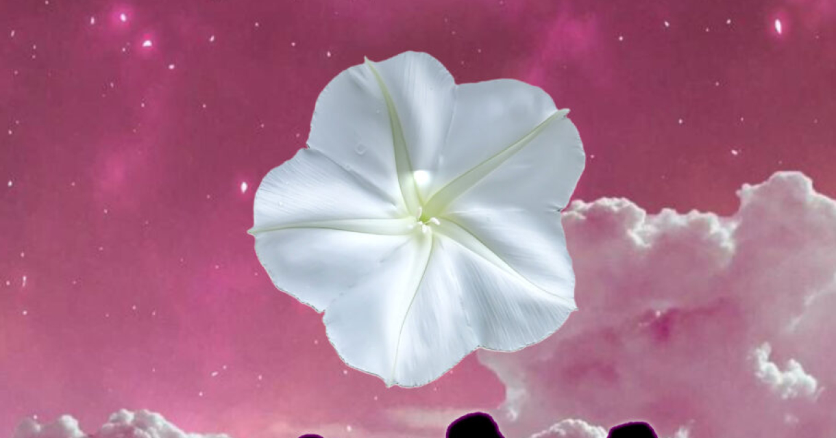 Poster Maanbloem op magische roze heelal achtergrond wat past bij de gelijknamige voorstelling van Bandera Latina. Poster Maanbloem op magische roze heelal achtergrond wat past bij de gelijknamige voorstelling van Bandera Latina.