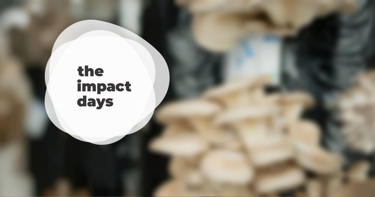 The Impact Days 2019 stadstours The Impact Days 2019 stadstours