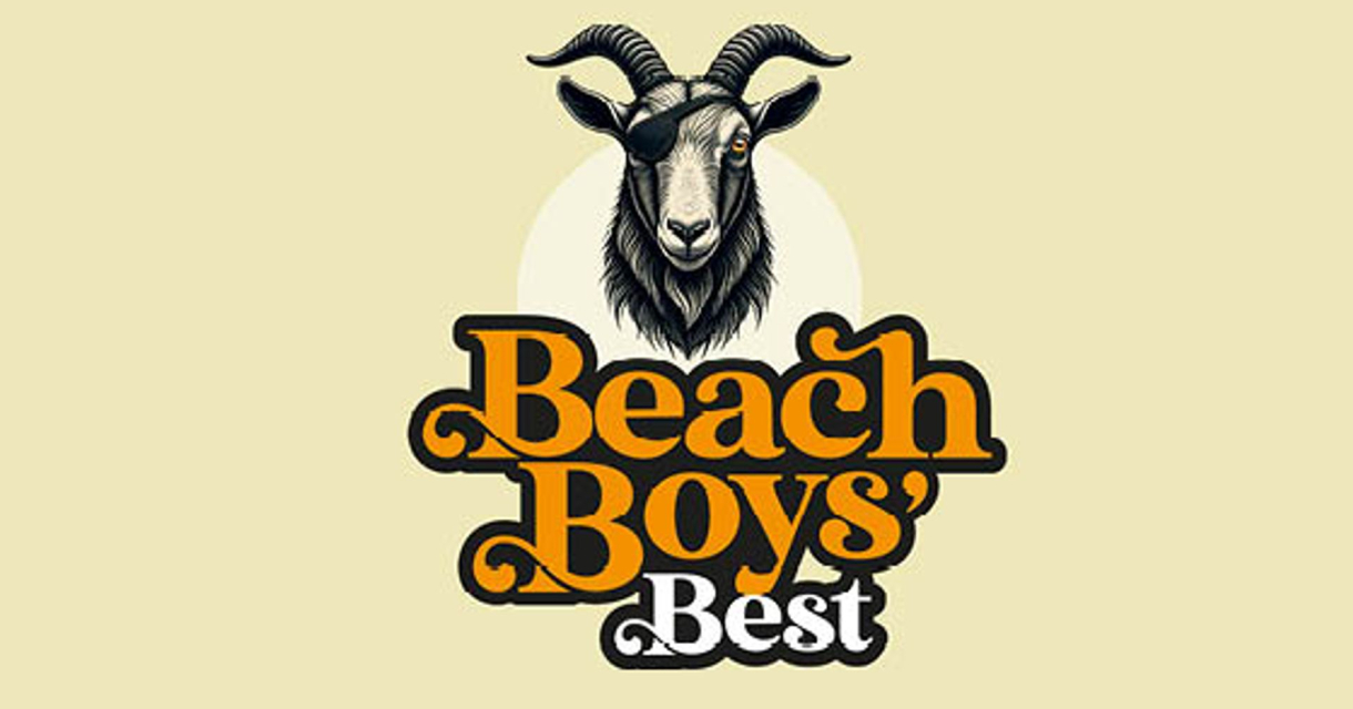 poster beach boys best poster beach boys best