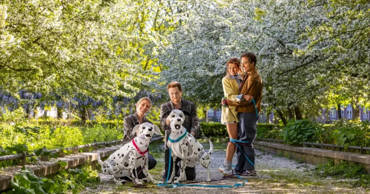 Twee dalmatiërs met hun eigenaren in een bloeiend park.