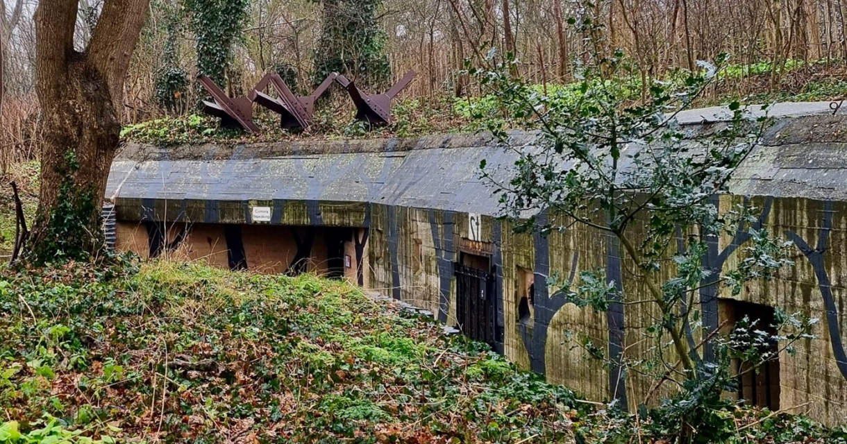 Een betonnen bunker omringd door bomen en struiken.