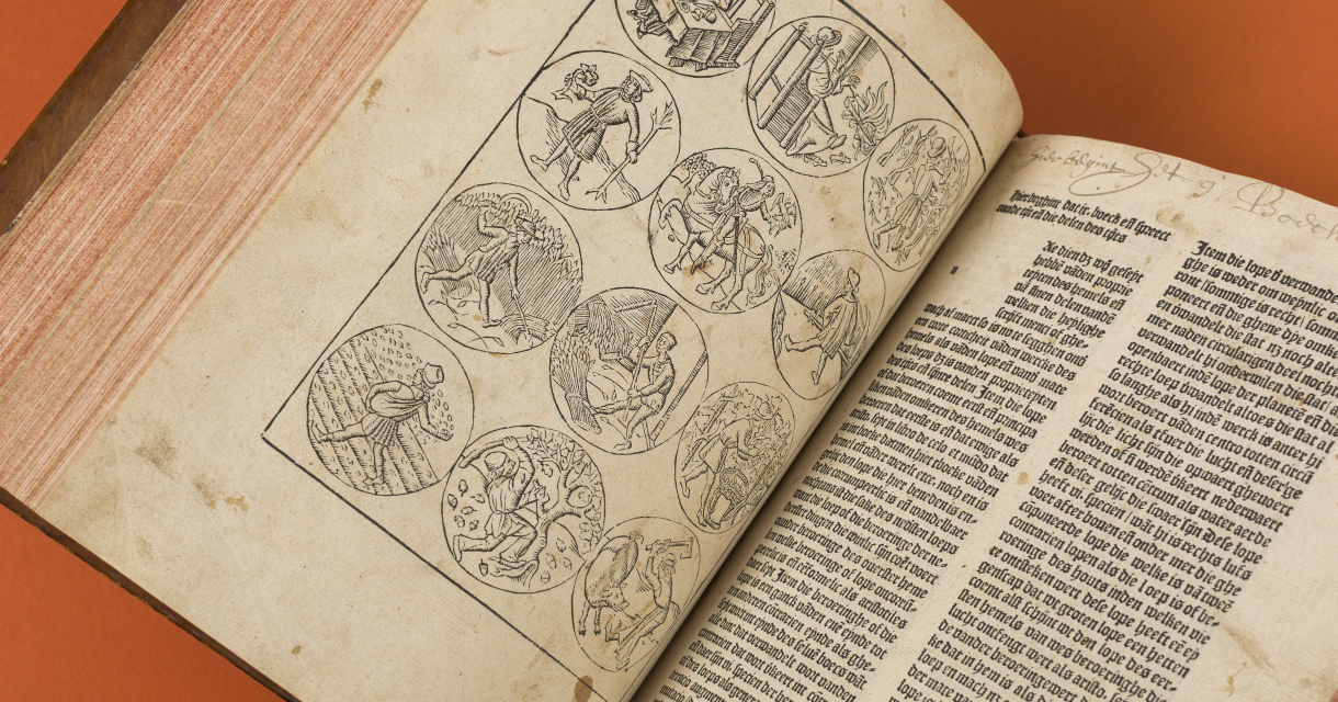 Livre ouvert avec des pages illustrées et du texte.